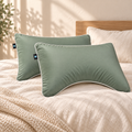 Lot de 2 taies unies Sleepillo Plus en satin de coton pour oreiller incurvé